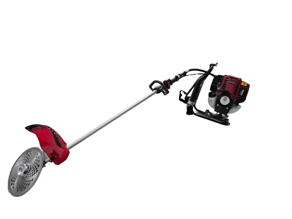 erasebg-transformed (2).webp