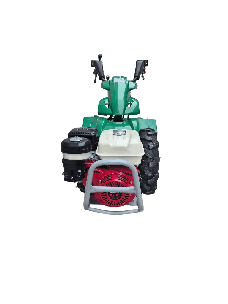 erasebg-transformed (4).webp