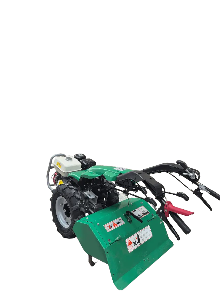 erasebg-transformed (6).webp