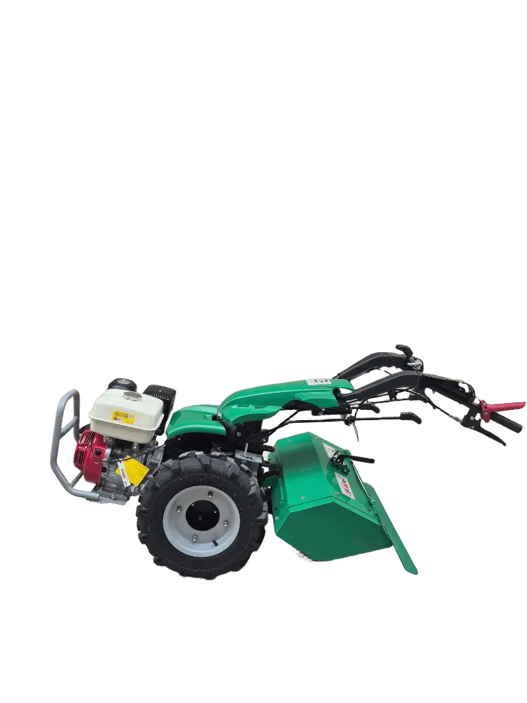 erasebg-transformed (5).webp