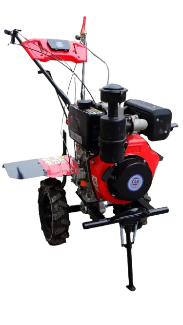 1000019645-removebg-preview (1).webp