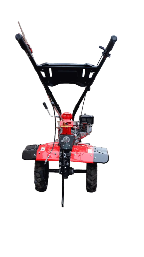 4-remove-bg-io (3).webp