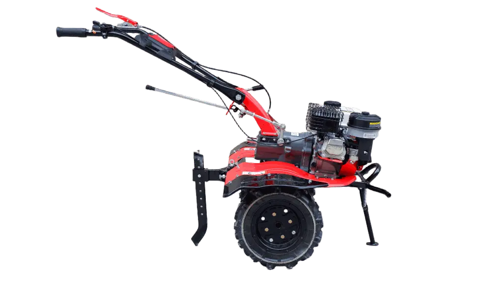 4-remove-bg-io (5).webp