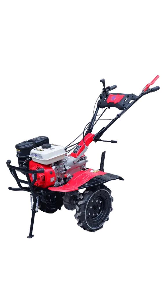 3-remove-bg-io (3).webp