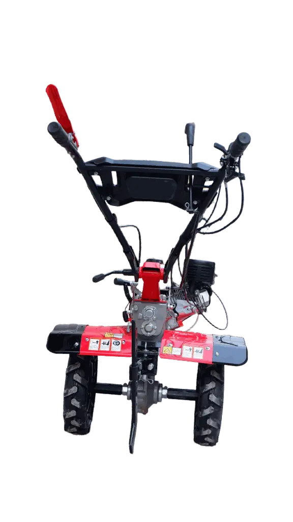 3-remove-bg-io (1).webp