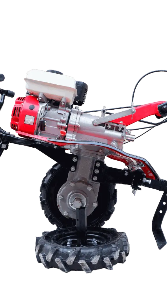 3-remove-bg-io (4).webp