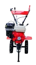 CAM 1G 200